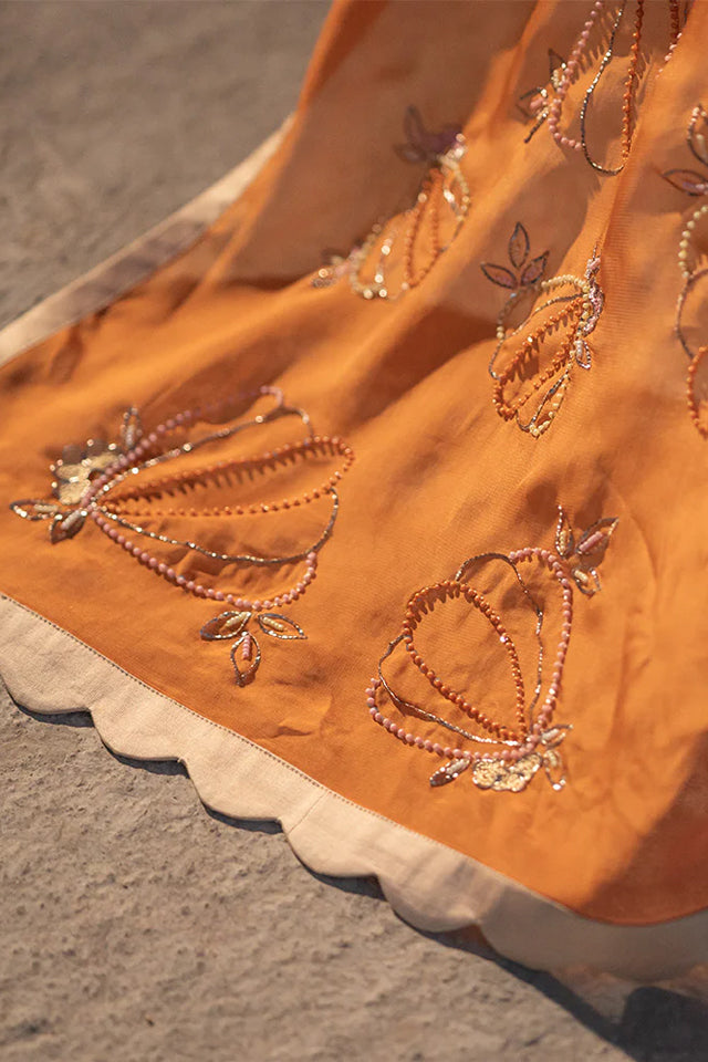 Tangerine Tide saree